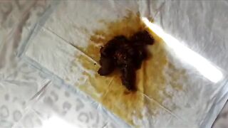 Girl smears asshole full of shit on a cupcake