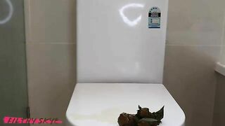Girl takes a big shit on a toilet and pisses on it