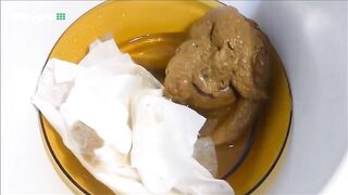 Girl squats and takes a huge shit in the toilet