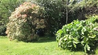 Chick squats and takes a massive shit in the grass