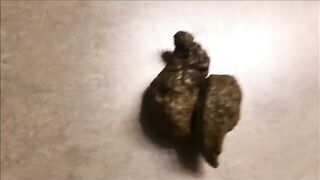 Girl plugs large butt with shit for video