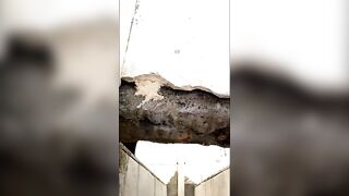 Woman takes a big shit in the woods