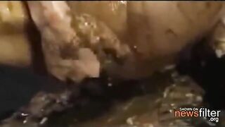 Babe covers her face with shit in the shower