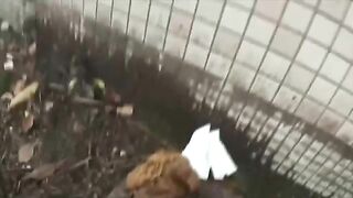 Asian woman shits near a wall in the park