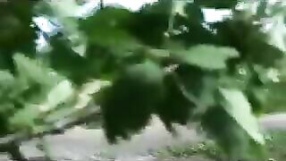 A woman takes a shit on a cross beam on the countryside