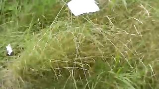 Girl takes a huge shit in the grass on the side of a road