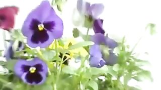 Girl pisses in a flower pot