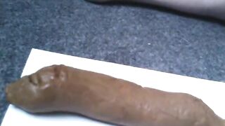 Woman drops a long log of shit on a piece of paper