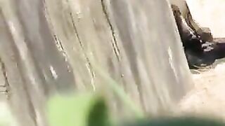 Naked woman takes a shit by the lake