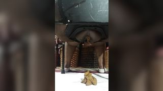 Thick booty and messy shit