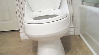 Gorgeous thick ass babe pooping in the toilet