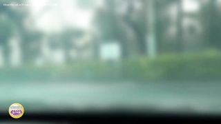 Dirty Japanese babe pooping all over