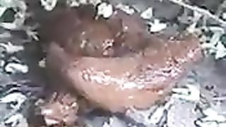 Creamy huge poop in the bushes