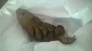 Japanese hairy babe shitting a nice turd