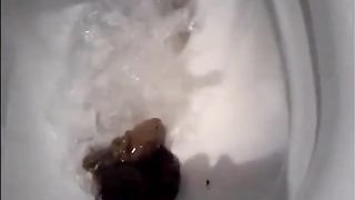 Beautiful blonde chick shitting in the toilet