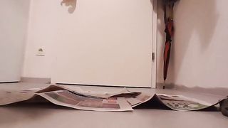 Pooping heavy load on the newspaper