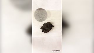 Hot bubble butt babe poops