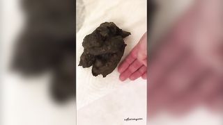 Hot bubble butt babe poops