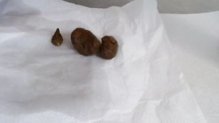 Beautiful blonde babe Lucy poops in the toilet