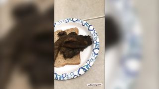 Poop sandwich breakfast