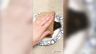 Poop sandwich breakfast
