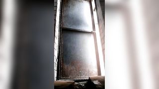 Asian gal farting and shitting in an outhouse