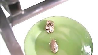 Pretty amateur blonde poops