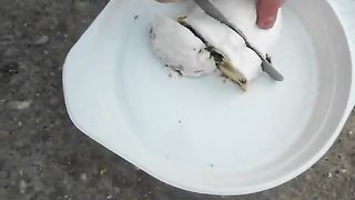 Messy shit from huge ass bbw