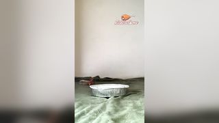 Ass fingering and hot pooping video