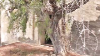Sexy babe pooping in an abandoned house