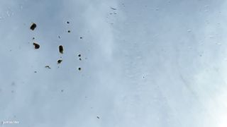 Skinny naked girl pooping on the car windshield