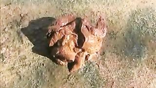 Amateur hot sluts and sweet pooping compilation