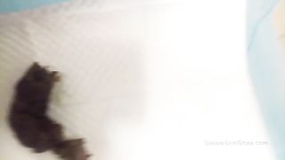 Pussy dripping lady and messy poop