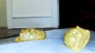 Heavy hairy pussy lady poops