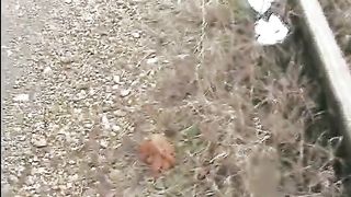 Shitting and pissing on train track