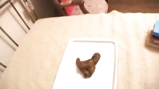 Kinky Jap teen with small ass pooping