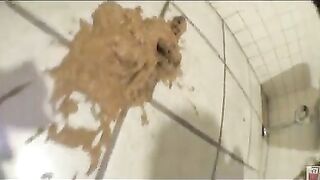 Japanese young girl makes toilet dirty