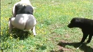 Dog owner pooping in the grass