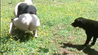 Dog owner pooping in the grass