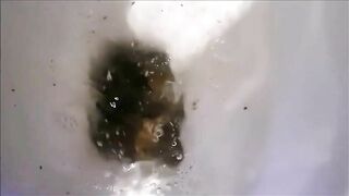 Closeup of sexy babe and her thick chocolate poop