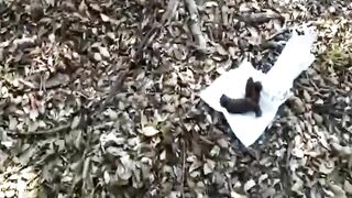 Pooping nicely in the forest