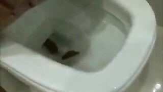 Young college babes pooping fun