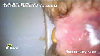 Hairy pussy mature lady pissing and pooping