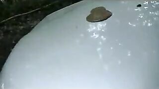 Girl liquid shitting on her car hood