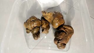 Sexy smooth booty babe poops heavily