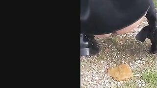 Blonde milf poops in front of the car