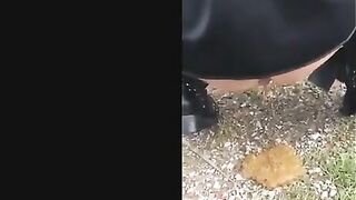 Blonde milf poops in front of the car