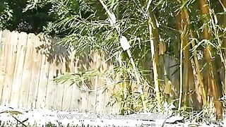 Lovely hot babe pooping in the backyard