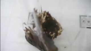 Heavy poop in ziplocked plastic bag