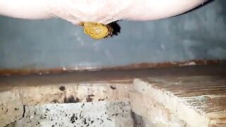 Pooping and shitting in dirty toilet